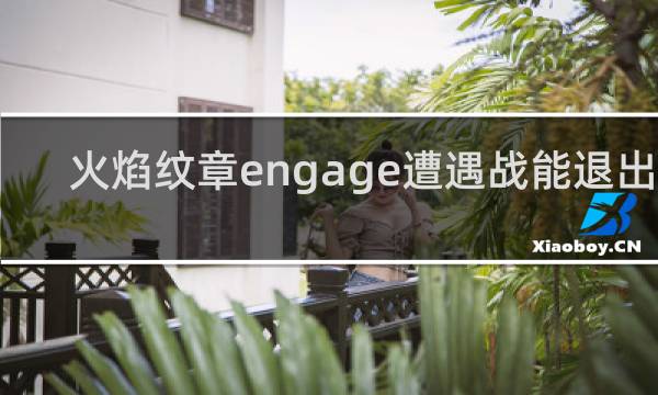 火焰纹章engage遭遇战能退出吗