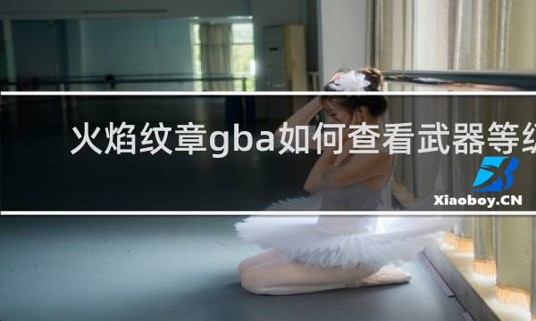火焰纹章gba如何查看武器等级
