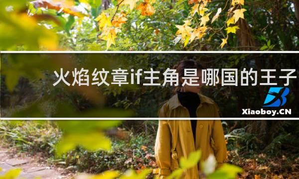 火焰纹章if主角是哪国的王子