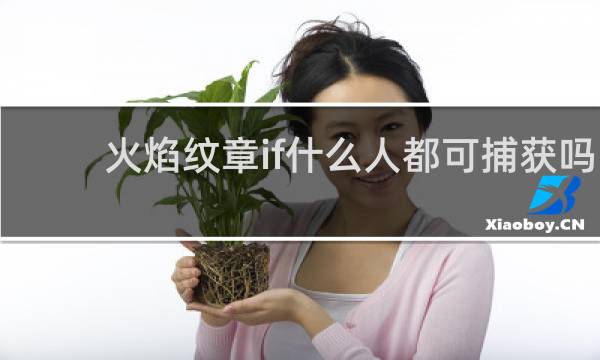 火焰纹章if什么人都可捕获吗