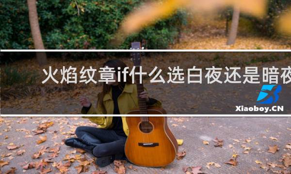 火焰纹章if什么选白夜还是暗夜