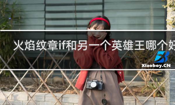 火焰纹章if和另一个英雄王哪个好玩