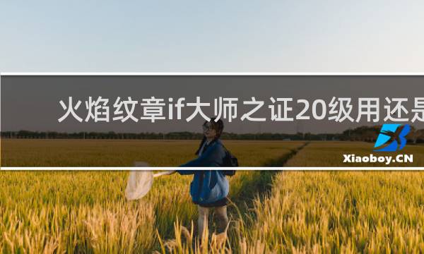 火焰纹章if大师之证20级用还是