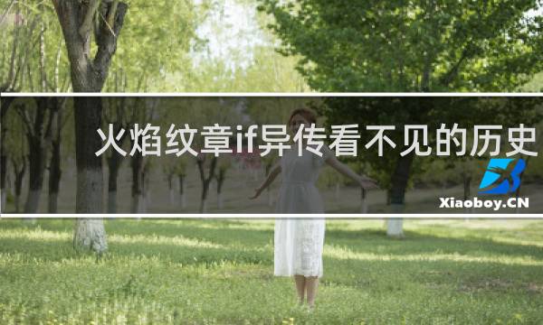 火焰纹章if异传看不见的历史