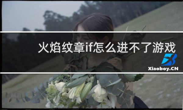 火焰纹章if怎么进不了游戏