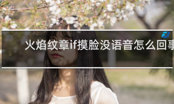 火焰纹章if摸脸没语音怎么回事