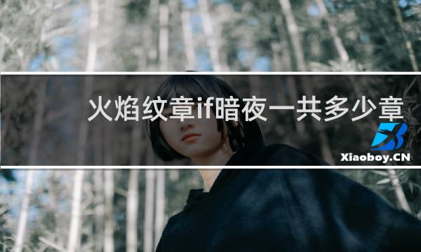 火焰纹章if暗夜一共多少章