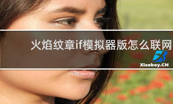火焰纹章if模拟器版怎么联网