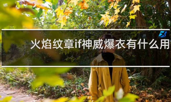 火焰纹章if神威爆衣有什么用
