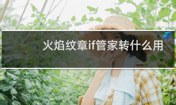 火焰纹章if管家转什么用