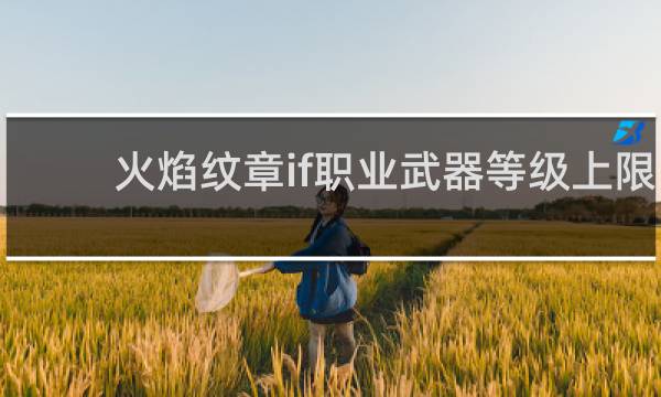 火焰纹章if职业武器等级上限