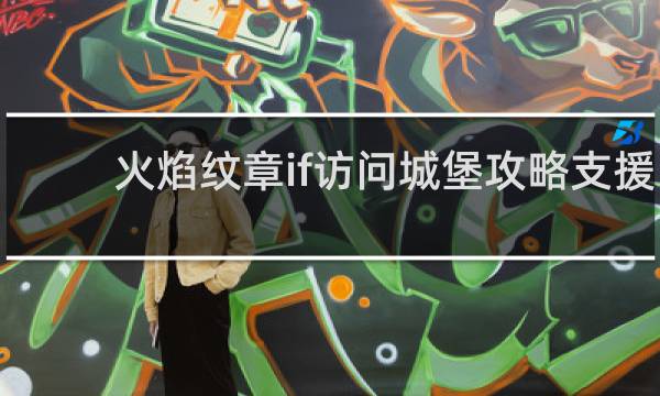 火焰纹章if访问城堡攻略支援