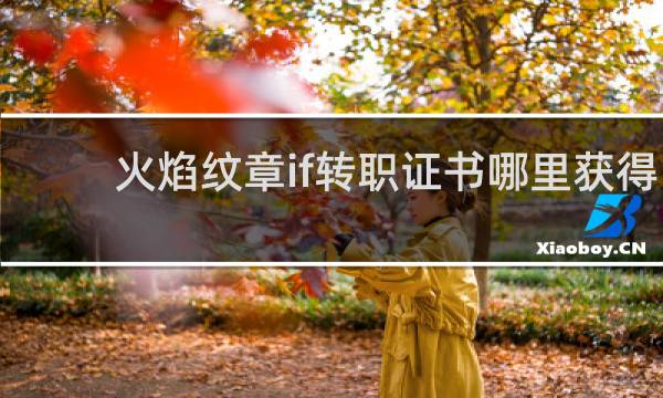 火焰纹章if转职证书哪里获得