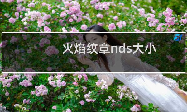 火焰纹章nds大小