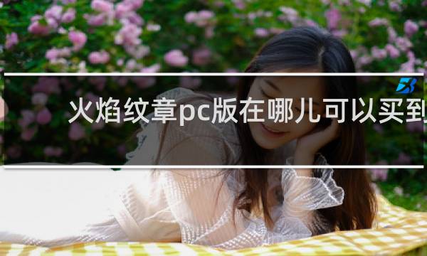 火焰纹章pc版在哪儿可以买到