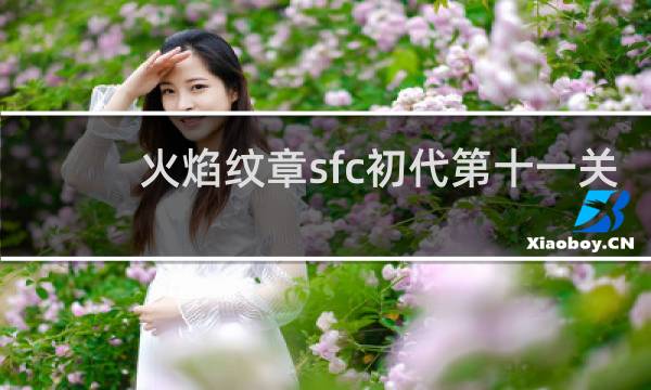 火焰纹章sfc初代第十一关