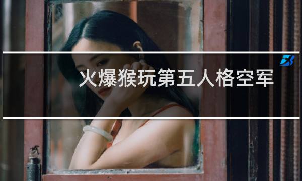 火爆猴玩第五人格空军