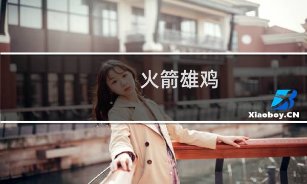 火箭雄鸡 攻略