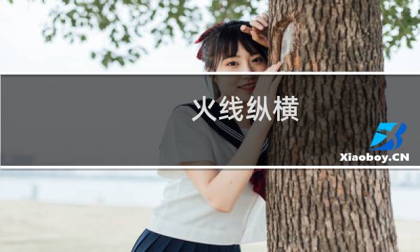 火线纵横 攻略