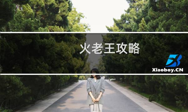 火老王攻略