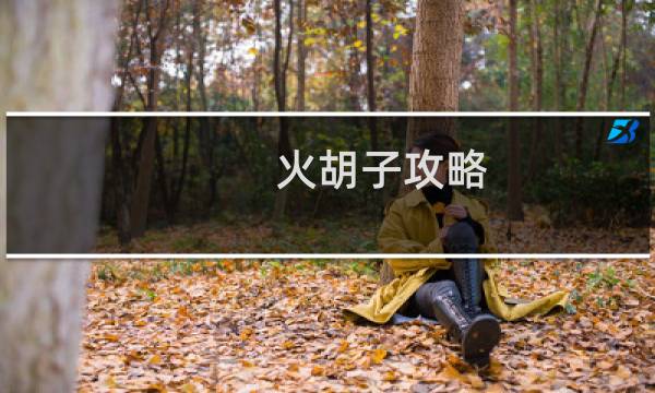 火胡子攻略