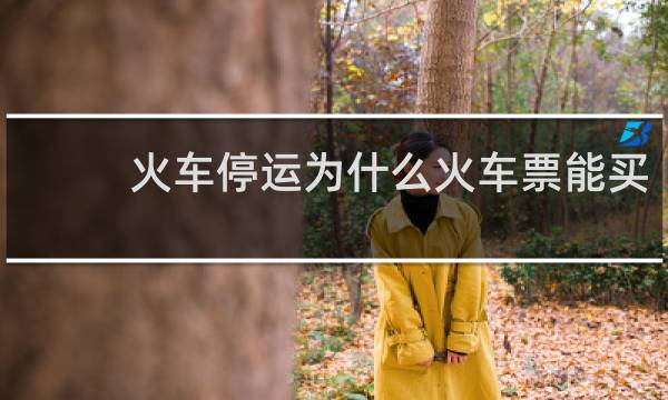 火车停运为什么火车票能买