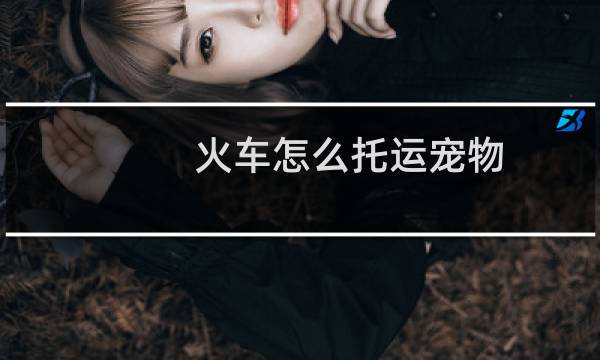 火车怎么托运宠物