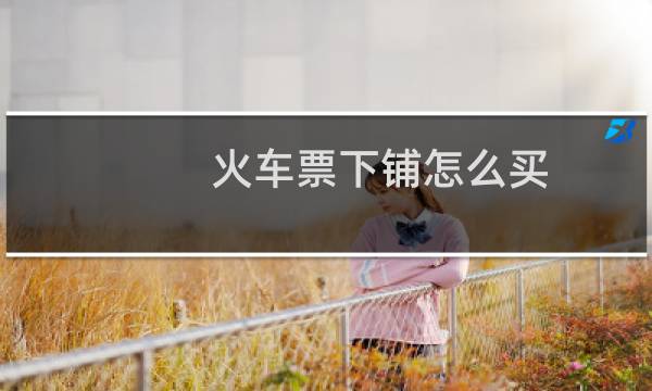火车票下铺怎么买