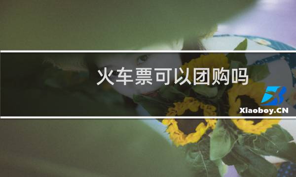 火车票可以团购吗