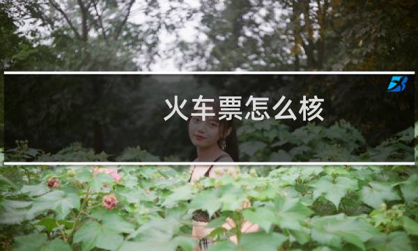 火车票怎么核