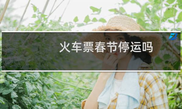 火车票春节停运吗