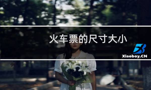 火车票的尺寸大小