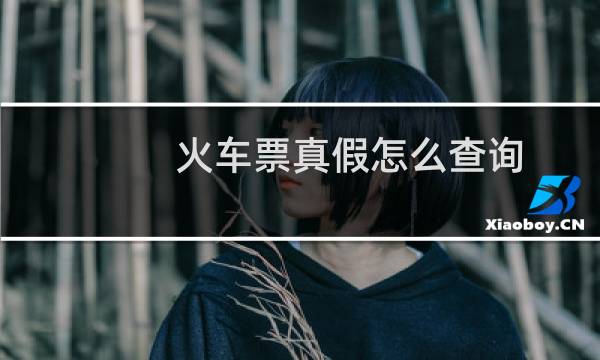火车票真假怎么查询