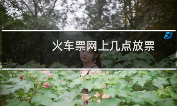 火车票网上几点放票