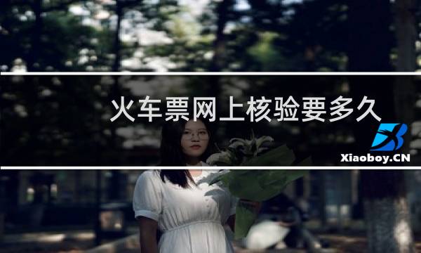 火车票网上核验要多久