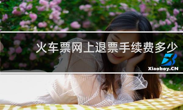 火车票网上退票手续费多少