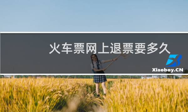 火车票网上退票要多久