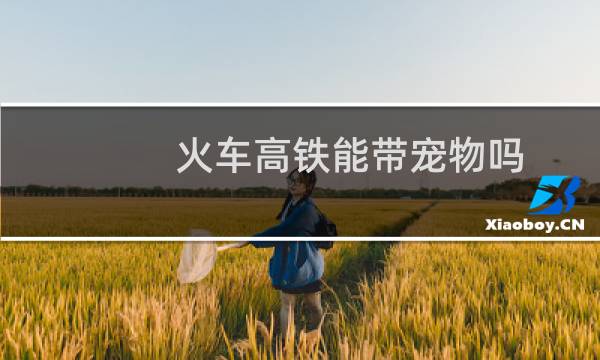 火车高铁能带宠物吗