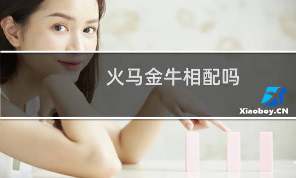 火马金牛相配吗