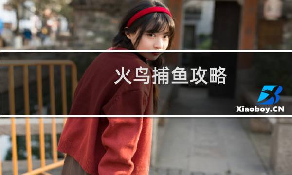 火鸟捕鱼攻略