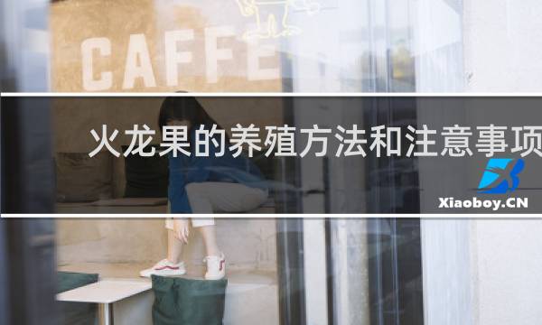火龙果的养殖方法和注意事项