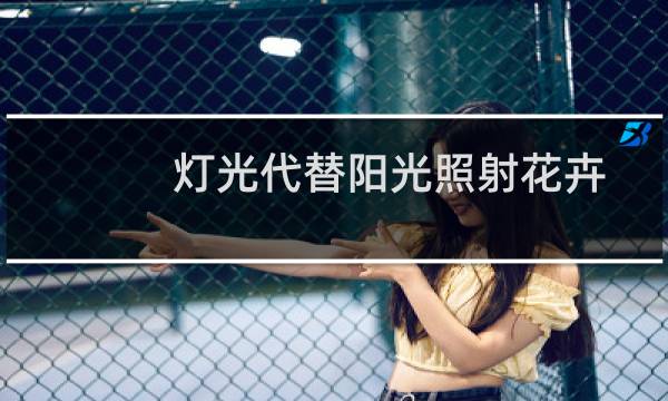 灯光代替阳光照射花卉