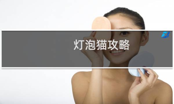 灯泡猫攻略