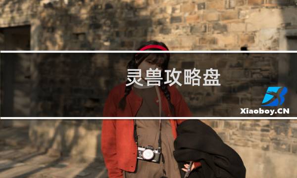 灵兽攻略盘