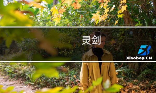 灵剑 雷 攻略