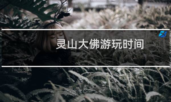 灵山大佛游玩时间