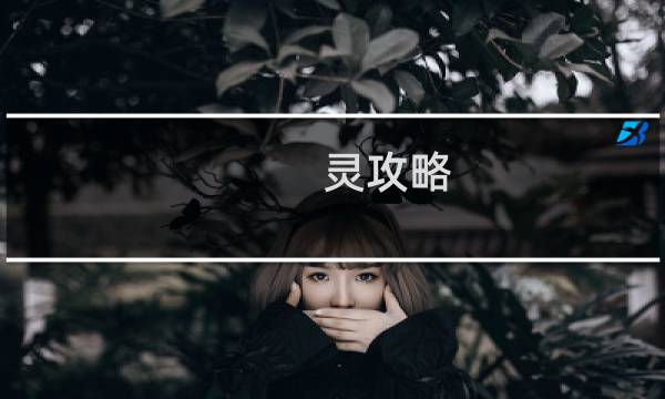 灵攻略