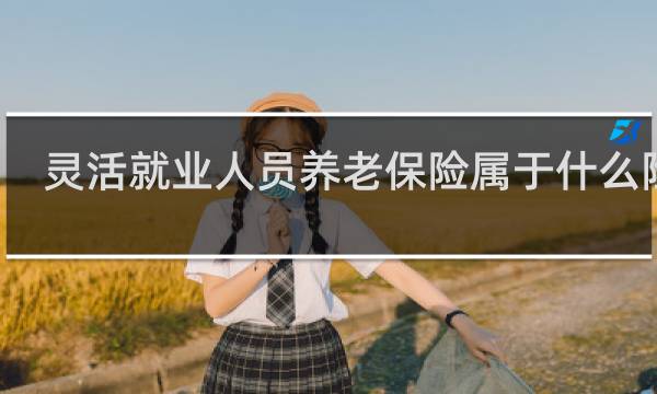 灵活就业人员养老保险属于什么险种