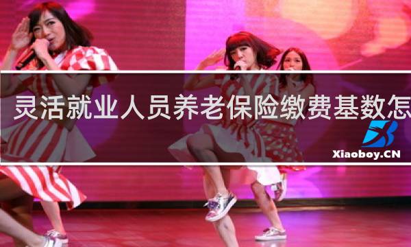 灵活就业人员养老保险缴费基数怎么算