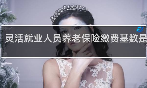 灵活就业人员养老保险缴费基数是什么